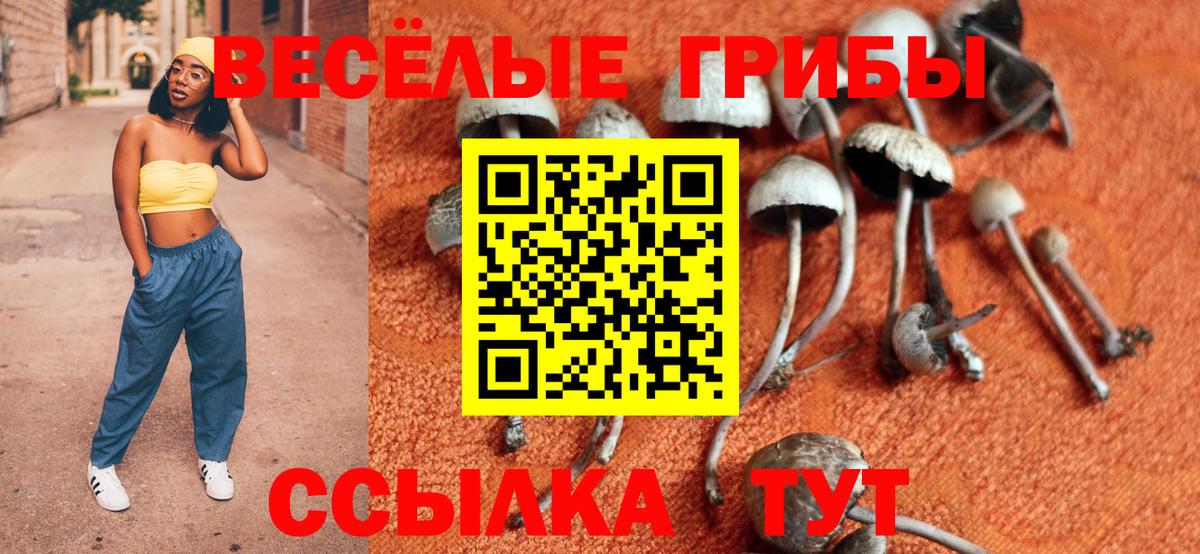Стрежевой  Галлюциногенные грибы мицелий  Вход с VPN 